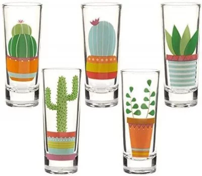 five tequila shot glasses with cactus prints